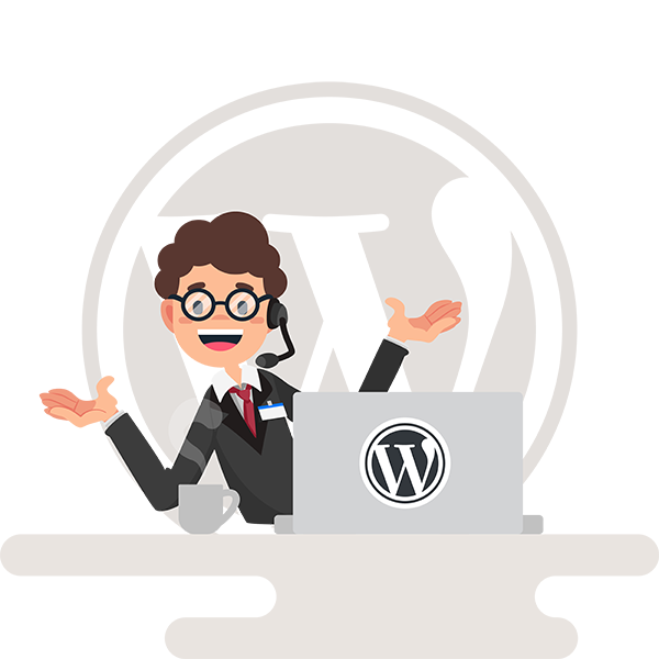 Ongoing WordPress Support